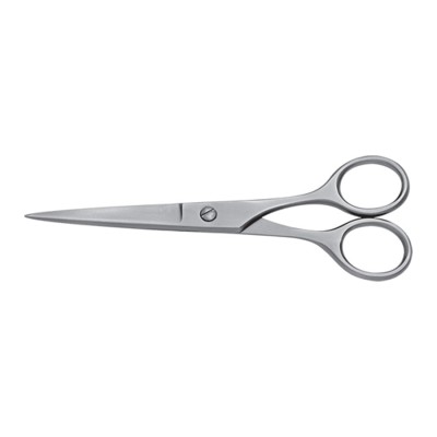 Professional Barber Scissor