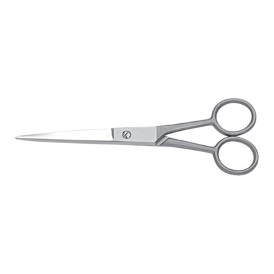 Professional Barber Scissor